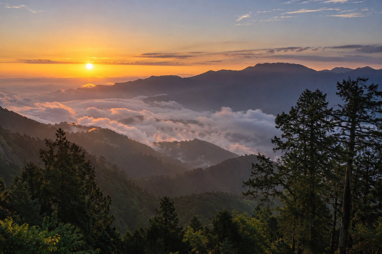嘉義阿里山寫實生成示意圖